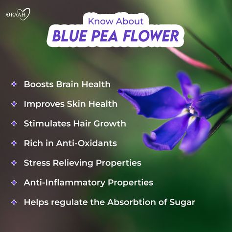 Blue Pea Flower Benefits, Blue Butterfly Pea Flower Benefits, Butterfly Pea Tea Benefits, Butterfly Pea Flower Benefits, Butterfly Pea Flower Tea Benefits, Blue Butterfly Pea Flower Tea, Blue Pea Flower, Pea Flower Tea, Healthy Board