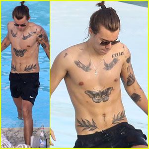 Harry Styles Goes Shirtless Again in Rio! Niall Horan One Direction, Harry Styles 2014, Harry Styles Shirtless, Harry Styles 2015, Harry Styles Gif, Harry Styles Tattoos, Harry Styles Smile, Harry Styles Hot, Harry Styles Funny