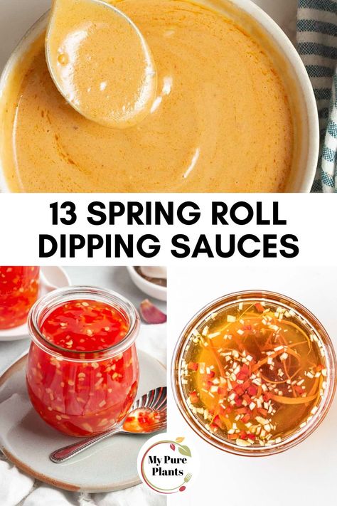 Vietnamese Spring Roll Dipping Sauce, Healthy Egg Roll Sauce, Spring Roll Dipping Sauce Recipe, Spring Roll Dumplings, Spring Roll Board, Summer Rolls Sauce Recipe, Spring Roll Dipping Sauce Gluten Free, Different Spring Roll Recipes, Healthy Spring Roll Sauce