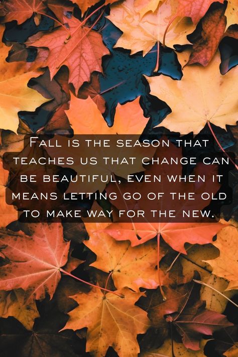 Samhain Decor, Hello Fall Quotes, Fall Hygge, Get Well Messages, First Day Of Autumn, Autumn Witch, Fall Quotes, Autumn Weather, Hello November