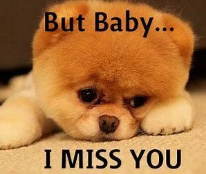 Missing You Memes, I Miss You Cute, Kisses Quotes, God Verses, Good Night Love Pictures, Miss You Images, Love You Poems, Animal Captions, Hugs And Kisses Quotes