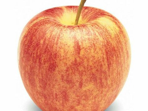 Organic Gala Apple Apple Nutrition Facts, Chinese Fruit, Fall Produce, Fruit Company, Apple Health, Calorie Counter, Gala Apples, Workout For Flat Stomach, Apple Season