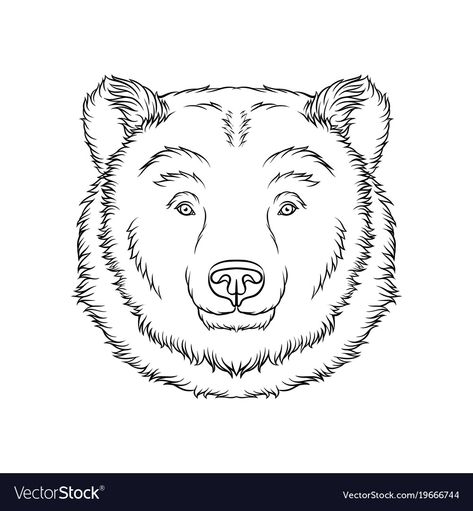 Drawing Bears, Bear Face Drawing, Animal Black And White, Totem Tattoo, Bear Drawings, Face Outline, Head Portrait, Bear Silhouette, Bear Tattoo