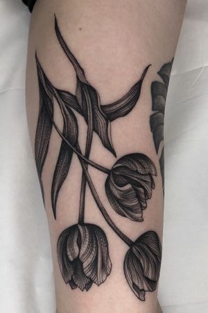 Flower Cover Up Tattoos, Lower Leg Tattoos, Hipster Tattoo, American Traditional Tattoo Ideas, Traditional Tattoo Ideas, Tulip Tattoo, Bestie Tattoo, Tattoo Shading, Fairy Tattoo