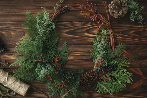 Once you learn how to preserve cedar branches, you’ll be able to create stunning accent pieces and festive holiday decorations. Cedar Christmas Wreath, Christmas Cedar Decor, Cedar Christmas Decor, Preserving Cedar Branches, How To Make A Cedar Wreath, Cedar Boughs Christmas, Preserve Pine Branches, Preserving Pine Branches, Cedar Crafts