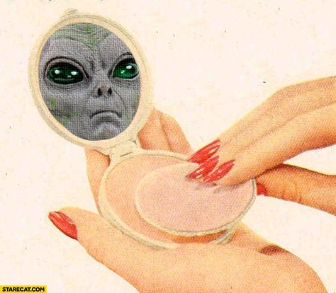 Alien face in makeup mirror Makeup Memes, Arte Inspo, Pulp Fiction, Pics Art, Catwoman, Dankest Memes, Collage Art, Coaching, Funny Pictures