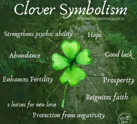 Clover Meaning, 4 Leaf Clover, 4 Leaves, Psychic Abilities, Leaf Clover, Four Leaf Clover, New Love, Clover Leaf, Fertility