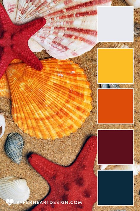 Color Palette: She Sells Sea Shells — Paper Heart Design Sand Color Palette, Hosting Events, Beach Color Palettes, Colours That Go Together, House Colours, Color Mixing Chart, Palette Design, Color Schemes Colour Palettes, Branding Resources