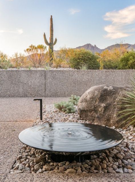 Desert Backyard, Modern Water Feature, Modern Fountain, Outdoor Water Feature, Outdoor Water Features, Drought Tolerant Landscape, Water Fountains Outdoor, Desert Garden, Water Features In The Garden