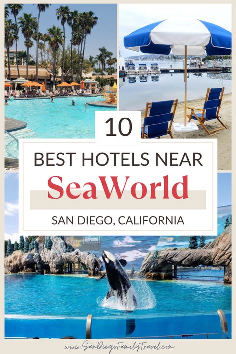 SeaWorld is one of the most popular attractions in Southern California, and if you are visiting San Diego chances are you’ll want to choose a hotel near this theme park. From beach resorts to budget-friendly hotels, here are the 10 best hotels near SeaWorld San Diego. Joey Birthday, San Diego Attractions, San Diego Mission, San Diego Hotels, Seaworld San Diego, Visit San Diego, Old Town San Diego, Birthday Trip, Waterfront Restaurant