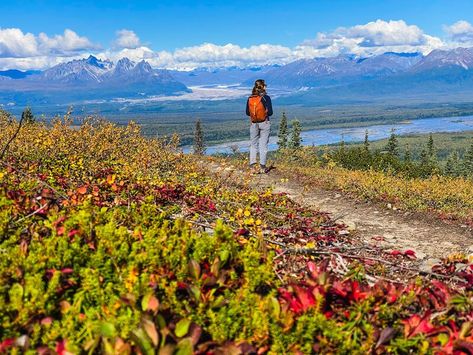 Mount Mckinley Alaska, Talkeetna Alaska, Alaska Life, Alaska Railroad, Alaska Trip, Panning For Gold, Alaska Adventures, Hidden Places, Beer Tasting