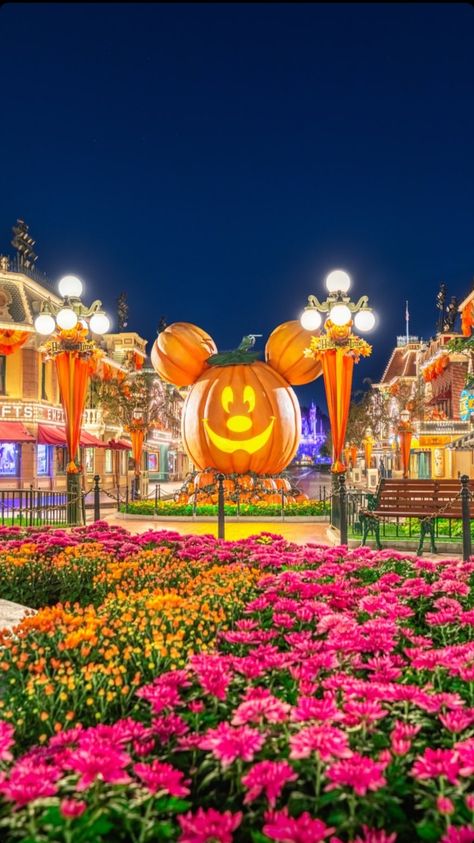 Mickey Pumpkin Wallpaper, Photo Wallpaper Aesthetic, California Halloween, Helloween Wallpaper, Pumpkin Wallpaper, Disneyland Photos, Mickey Pumpkin, Disneyland Halloween, Pumpkin Photos