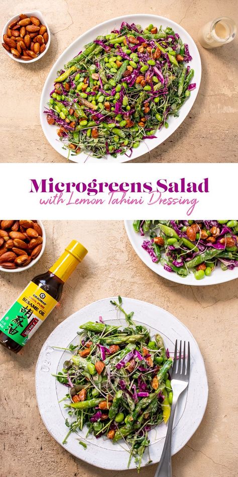 Microgreens Salad Recipe, Microgreens Salad, Microgreens Recipe, Chicken Oven, Unique Salad, Citrus Dressing, Salad With Lemon, Lemon Tahini Dressing, Quick Salads