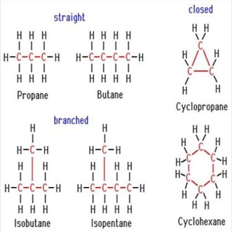 Carbon And Its Compounds, Nurse Study Notes, Reflexology Chart, Science Notes, Cartoon Girl Drawing, Nursing Study, Class 10, Reflexology, Study Notes