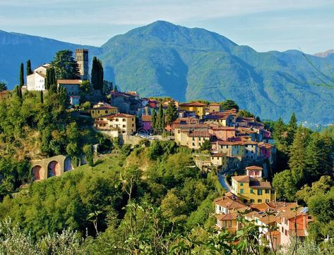 Barga lucca tuscany italy. Barga lucca tuscany panoramic view trees hill country , #Sponsored, #tuscany, #italy, #Barga, #lucca, #panoramic #ad Lucca Italy, Tuscany Travel, Italy Tours, Space Wedding, Italy Photo, Panoramic View, Tuscany Italy, Hill Country, Lucca