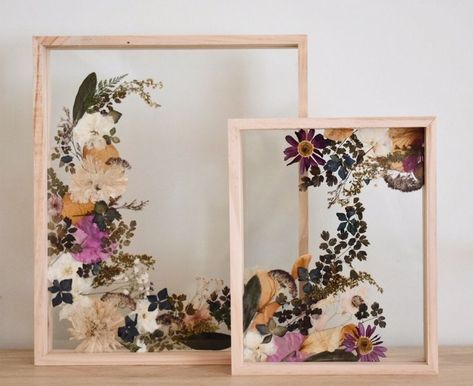 Pin by Jessica Anne on Pressed flower display ideas in 2020 | Pressed flower art picture frames, Pre. #pressed #herbarium #art #silkpress #botany #photography Cadre Photo Diy, Pressed Flowers Diy, Pressed Flower Frame, Pressed Flower Crafts, Deco Nature, Diy Picture Frames, Pressed Flower Art, Diy Picture, Glass Frame