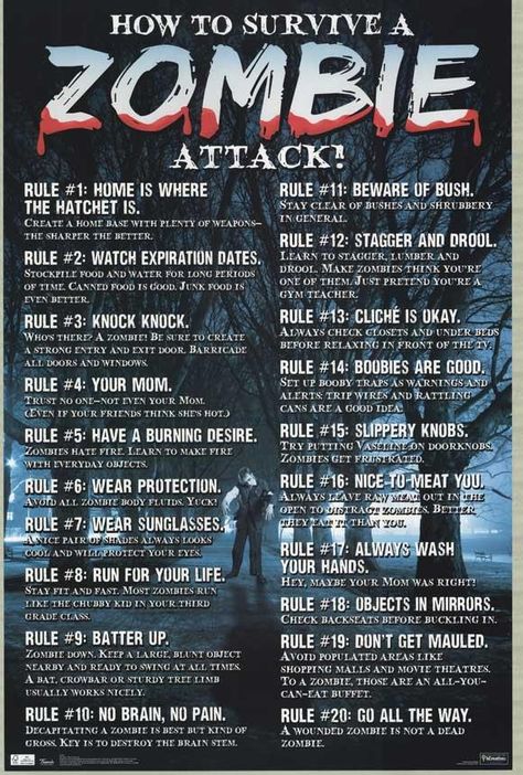 Zombie survival. Zombie Survival Guide, Makeup Zombie, Zombie Apocolypse, Zombie Attack, Apocalypse Survival, Zombie Survival, How To Survive, Survival Food, Survival Prepping