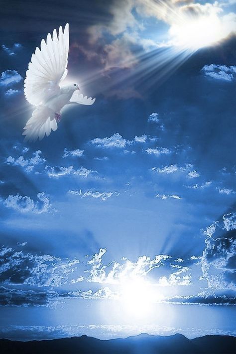 Obituary Background, Heavenly Clouds, Pretty Place Chapel, Heaven Pictures, Pentecost Sunday, Obituary Template, Dove Pictures, Inspirational Life Lessons, Jesus Christ Painting