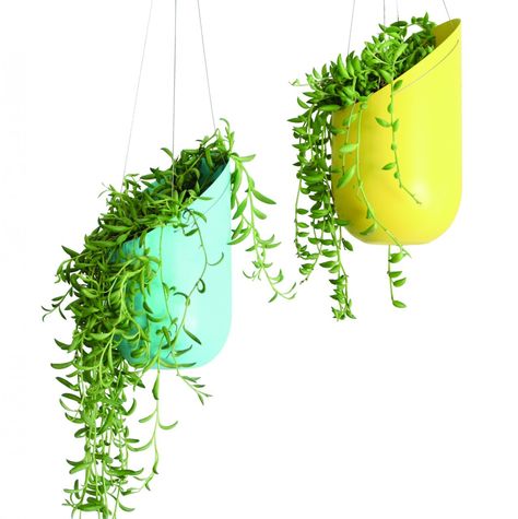 Hanging Planter, $74.00 Pot Gantung, Plastic Bottle Planter, Diy Hanging Planter, Hanging Planters Indoor, Plastic Bottle Crafts, Soda Bottles, Diy Hanging, Apartment Garden, Diy Planters