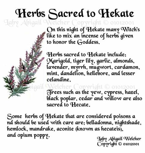 Herbs For Hecate, Herbs Associated With Hecate, Herbs For Hekate, Herbs For Lilith, Hekate Herbs, Hecate Herbs, Mother Hecate, Mother Hekate, Herbal Cabinet