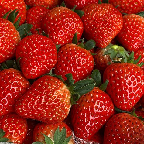 Strawberries Aesthetic, Food Strawberry, Strawberry Background, Aesthetic Strawberry, Strawberry And Cream, Strawberry Jelly, Disney Fun Facts, Red Strawberry, Strawberry Fields