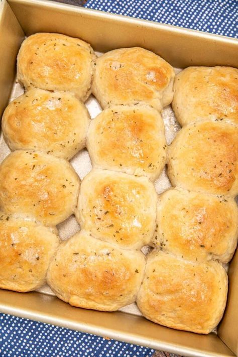 Sour Cream Dinner Rolls - Plain Chicken Dinner Roll Recipe, Gluten Free Bisquick, Honey Wheat Bread, Dinner Roll, Honey Wheat, Homemade Dinner Rolls, Plain Chicken, Yeast Rolls, Dinner Rolls Recipe