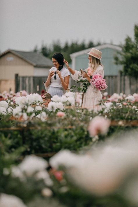 Peony Field, Peony Farm, Flower Picking, Flower Farming, Amber Fillerup Clark, Biblical Womanhood, Barefoot Blonde, Amber Fillerup, Woman Hair