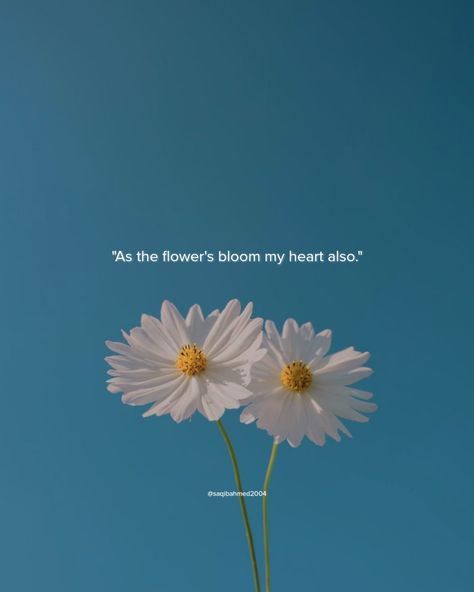 Quote Flowers From Him Quotes, Quotes About Flowers Blooming Life, Love Quotes With Flowers, Love Flowers Romantic Quotes, He Brought Me Flowers, Bloom Quotes Aesthetic, Flower Aesthetic Quotes Short, Flowers And Love Quotes, Red Flower Quotes