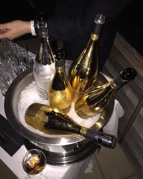 Mens Luxury Lifestyle, Alcohol Aesthetic, Rich Family, Expensive Taste, Gold Aesthetic, Rich Lifestyle, Luxury Lifestyle Dreams, Luxury Aesthetic, Champagne Bottles