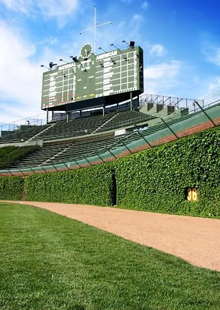 The Ivy at Wrigley Field. Very interesting fact - if a ball is hit into the ivy and it gets stuck within the vines, the outfielder may raise both hands in the air which then makes the play a ground-rule double OR the outfielder can continue searching in which case the runners can advance at their will. Wrigley Field Scoreboard, Wrigley Field Chicago, Chicago Sports Teams, Mlb Stadiums, Cubs Win, Baseball Park, Go Cubs Go, Chicago Cubs Baseball, Cubs Baseball