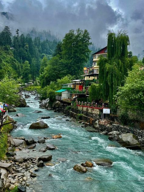 Kashmir Pics, Home Green, Nature View, Green Tree, Hi There, Travel Aesthetic, Nature Pictures, Digital Pattern, Beautiful Nature