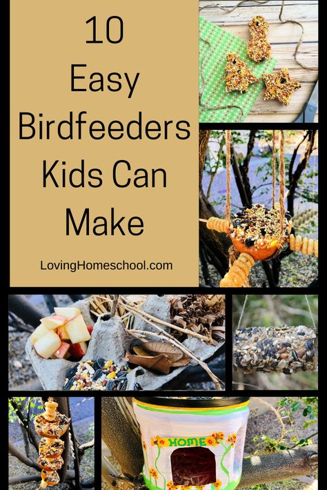 Diy Birdfeeders Homemade Kids, Birdfeeders Kids Can Make, Diy Birdfeeders Homemade, Bird Watching Journal, Diy Recycle Plastic, Bird Feeder Craft, Fun Indoor Activities, Bird Feeding, Easy Fall Crafts