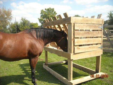 DIY Feeder for Horses.  Doesn't look too difficult to make, and I'd probably add some type of covering on top. Diy Hay Feeder, Horse Stables Design, Hay Feeder For Horses, Horse Feeder, Horse Hay, Horse Shelter, Paddock Paradise, Horse Barn Ideas, Hay Feeder