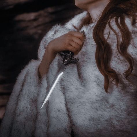 Sansa Stark Aesthetic, Stark Aesthetic, Game Of Thrones Sansa, Viking Aesthetic, Aesthetic Game, Catelyn Stark, Grey Warden, Fire Book, Song Of Ice And Fire