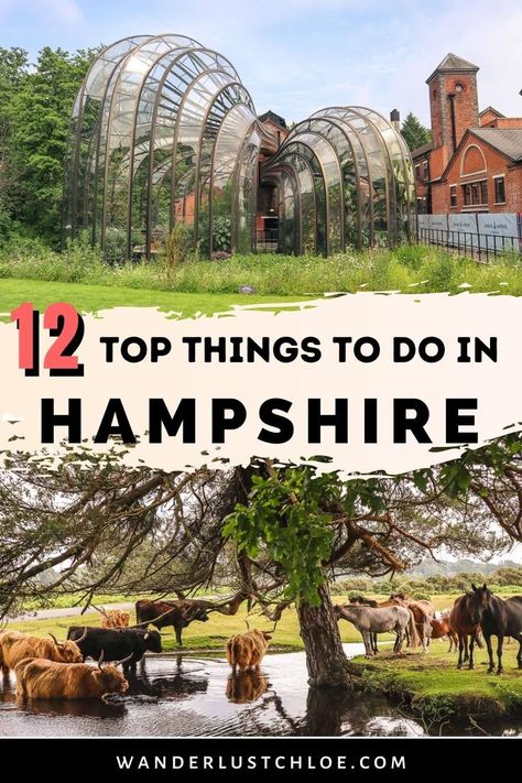 With buzzing cities, a sweeping coastline and serene countryside, there are plenty of great things to do in Hampshire. Find out about visiting the Bombay Sapphire gin distillery for a tour - one of the most popular things to do in Hampshire. Plus, if you love adventures, learn about where to go hiking, paddleboarding and more in this guide to one England's southern counties. #UKTravel #Hampshire #VisitEngland Bombay Sapphire Gin, London England Travel, Popular Things, Living In The Uk, England Road Trip, Gin Distillery, Southern England, Hampshire England, Bombay Sapphire