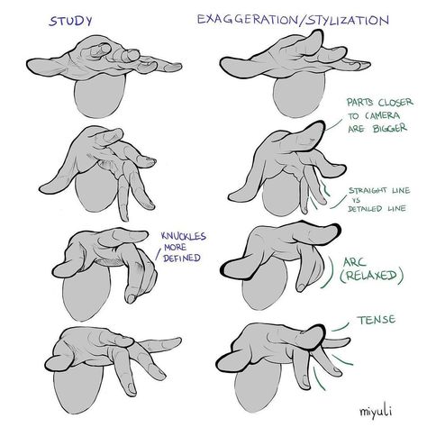 2,972 Likes, 4 Comments - Art Tutorials and References (@artadvicee) on Instagram: “Hand studies Follow @artadvicee for more art tutorials and tips Follow @artadvicee for more art…” Draw Hands, Hand Drawing Reference, Anatomy Sketches, Different Poses, Have Inspiration, Figure Drawing Reference, Anatomy Reference, Anime Drawings Tutorials, Anatomy Art