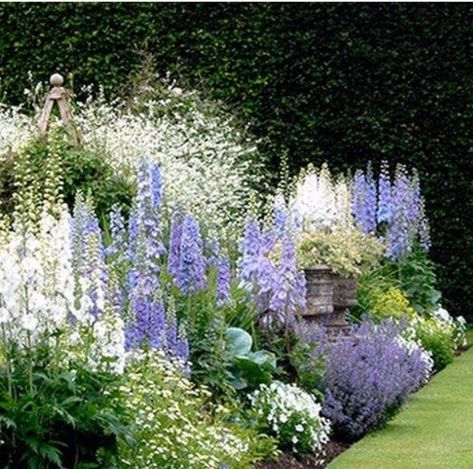 Cottage Garden Design, White Plants, Landscape Designs, Have Inspiration, Pink Garden, Garden Borders, White Gardens, Gorgeous Gardens, Garden Cottage