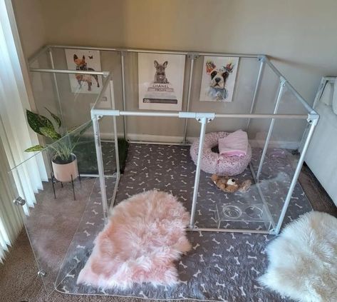 Dog Fence Ideas Indoor, Dog Indoor Area, Dog Cage Inside House, Pink Dog Room Ideas, Bedroom With Dog Area, Modern Dog Room, Cute Puppy Set Ups, Puppy Bed Aesthetic, Pet Set Up