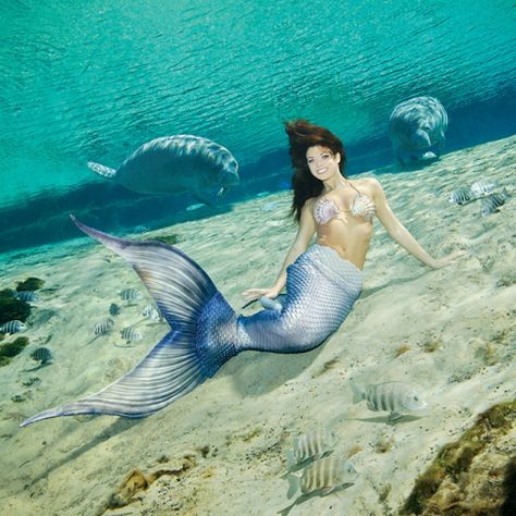 Mermaid Girl Aesthetic, Weeki Wachee Mermaids, Realistic Mermaid Tails, Real Life Mermaids, Weeki Wachee, Realistic Mermaid, Mermaid Names, Mermaid Photography, Silicone Mermaid Tails