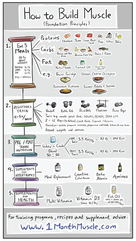 Building muscle requires fuel! Here is a good reference graph to assist. -  Note: Best amino acids are BCAA (Branched-chain-amino-acids), L-glutamine, and make sure you are getting plenty of magnesium from your diet. (Unless you like getting cramps) Reference Building, Pasti Fit, Nutrition Sportive, Trening Fitness, Makanan Diet, Building Muscle, Big Muscles, Trening Abs, Diet Keto