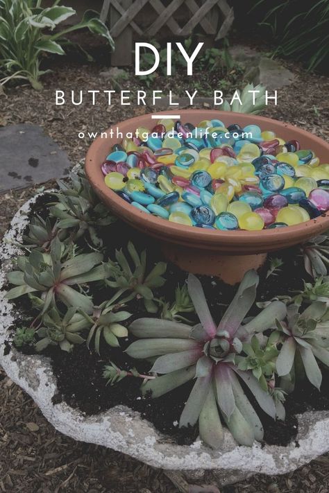 try this creative way to make a butterfly bath to add to your garden! it'll help the butterflies and other pollinators too! Butterfly Bath, Butterfly Feeders, Butterfly Garden Plants, Butterfly Garden Design, Butterfly Habitat, Butterfly Houses, Garden Insects, Hummingbird Garden, Garden Life