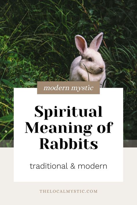 Today we’ll discuss the deep spiritual meaning of the rabbit in various cultures and traditions, including ancient mythology and modern spiritual practices. Plus, we’ll learn a few rituals for honoring the magic of the rabbit during spring. rabbit for magic, spiritual meaning of rabbit, rabbit spirit animal meaning, spiritual significance of rabbit, rabbit symbolism, seeing a rabbit meaning Celtic Hare Meaning, White Rabbit Spiritual Meaning, Bunny Spirit Animal Meaning, Bunny Spirit Animal, Rabbit Spirit Animal Meaning, Bunny Symbolism, Rabbit Spiritual Meaning, Rabbit Familiar, Rabbit Meaning