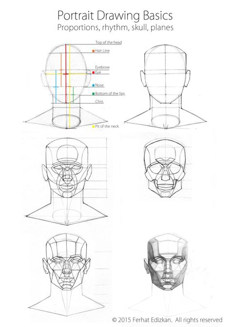 Taken from Ferhat Edizkan Art Anatomy Head, 3d Drawing Techniques, Head Construction, Head Reference, Portrait Drawing Tips, Drawing The Human Head, Human Anatomy For Artists, Draw Faces, Art Pins