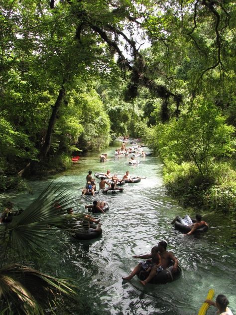 Miles of pristine shoreline - Rock Spring Run State Preserve, Sorrento, #Florida #travel Florida Camping, Rock Springs, Florida Springs, Old Florida, To Infinity And Beyond, Sunshine State, Florida Vacation, Florida Travel, Sorrento