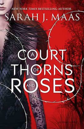 Princess Buttercup, The Kingkiller Chronicles, Feminist Books, Roses Book, Court Of Thorns And Roses, Book Recs, Ya Books, Page Turner, Books Young Adult