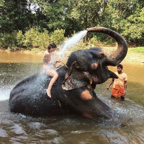 Riding Elephants, Elephant Sanctuary, Elephant Love, Elephant Wedding, An Elephant, Travel Aesthetic, Beautiful Creatures, Travel Experience, Travel Art