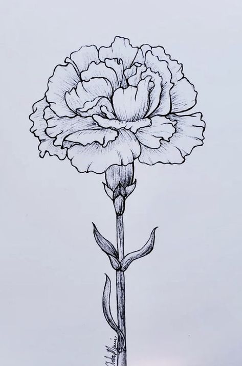 Carnation Drawing, Carnation Tattoo, Bird Painting Acrylic, Iris Painting, Owl Tattoo Design, Cute Tiny Tattoos, Flower Art Drawing, Carnation Flower, Watercolor Flower Art