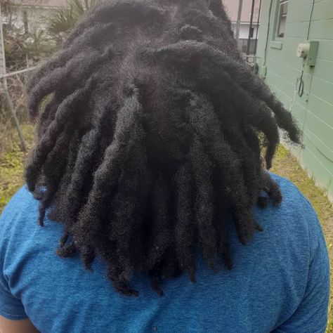 Semi free forms Freeform Locs Men Fade, Semi Free Form Locs Women, Semi Free Form Locs, Semi Freeform Locs, Free Form Locs, Cute Dreads, Black Men Hairstyles, 4c Hairstyles, Dreadlock Hairstyles