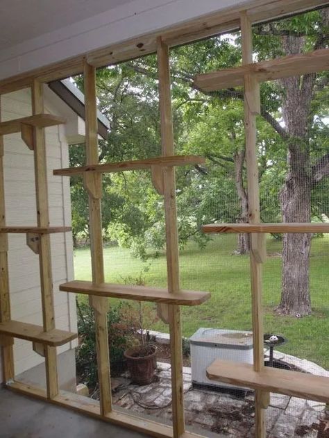 Outdoor Cat Playground Play Areas - HubPages Outdoor Cat Tree, Catio Ideas, Diy Cat Enclosure, Katt Diy, Kitty Ideas, Cat Playground Outdoor, Katt Grejer, Cat Enclosures, Cat Patio