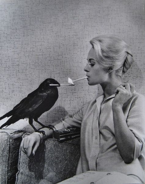 Philippe Halsman, Tippi Hedren, A Crow, Septième Art, Fotografi Vintage, I Love Cinema, Foto Art, Alfred Hitchcock, Tv Movie